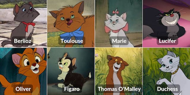 Disney kattennamen